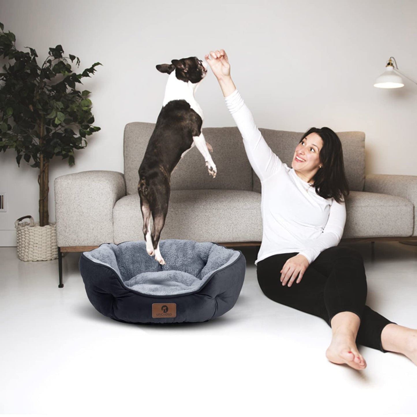 Asvin Small Dog Bed for Small Dogs, Cat Beds for Indoor Cats, Pet Bed for Puppy and Kitty, Extra Soft & Machine Washable with Anti-Slip & Water-Resistant Oxford Bottom, Grey, 20 inches