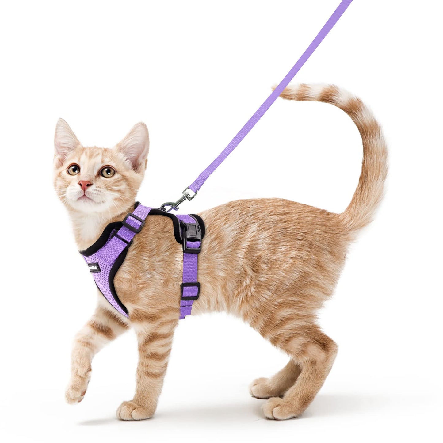 rabbitgoo Cat Harness and Leash for Walking, Escape Proof Soft Adjustable Vest Harnesses for Cats, Easy Control Breathable Reflective Strips Jacket, Black, XS