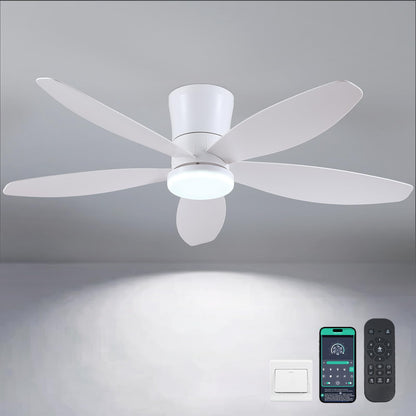 Ceiling Fans with Lights-36 Low Profile Ceiling Fan with Light and Remote/APP Control,Flush Mount,DC Reversible,LED Dimmable Blakc Ceiling Fans for Bedroom,Indoor/Outdoor Patio Use