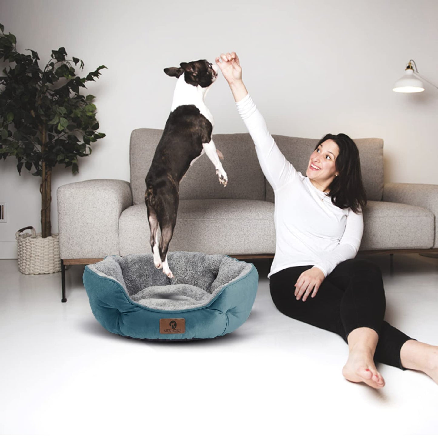 Asvin Small Dog Bed for Small Dogs, Cat Beds for Indoor Cats, Pet Bed for Puppy and Kitty, Extra Soft & Machine Washable with Anti-Slip & Water-Resistant Oxford Bottom, Grey, 20 inches