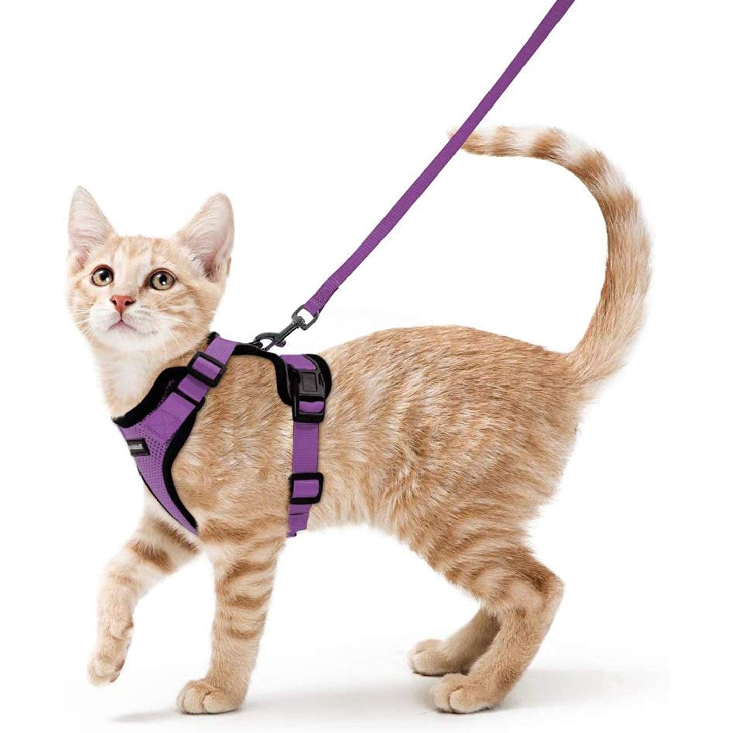 rabbitgoo Cat Harness and Leash for Walking, Escape Proof Soft Adjustable Vest Harnesses for Cats, Easy Control Breathable Reflective Strips Jacket, Black, XS