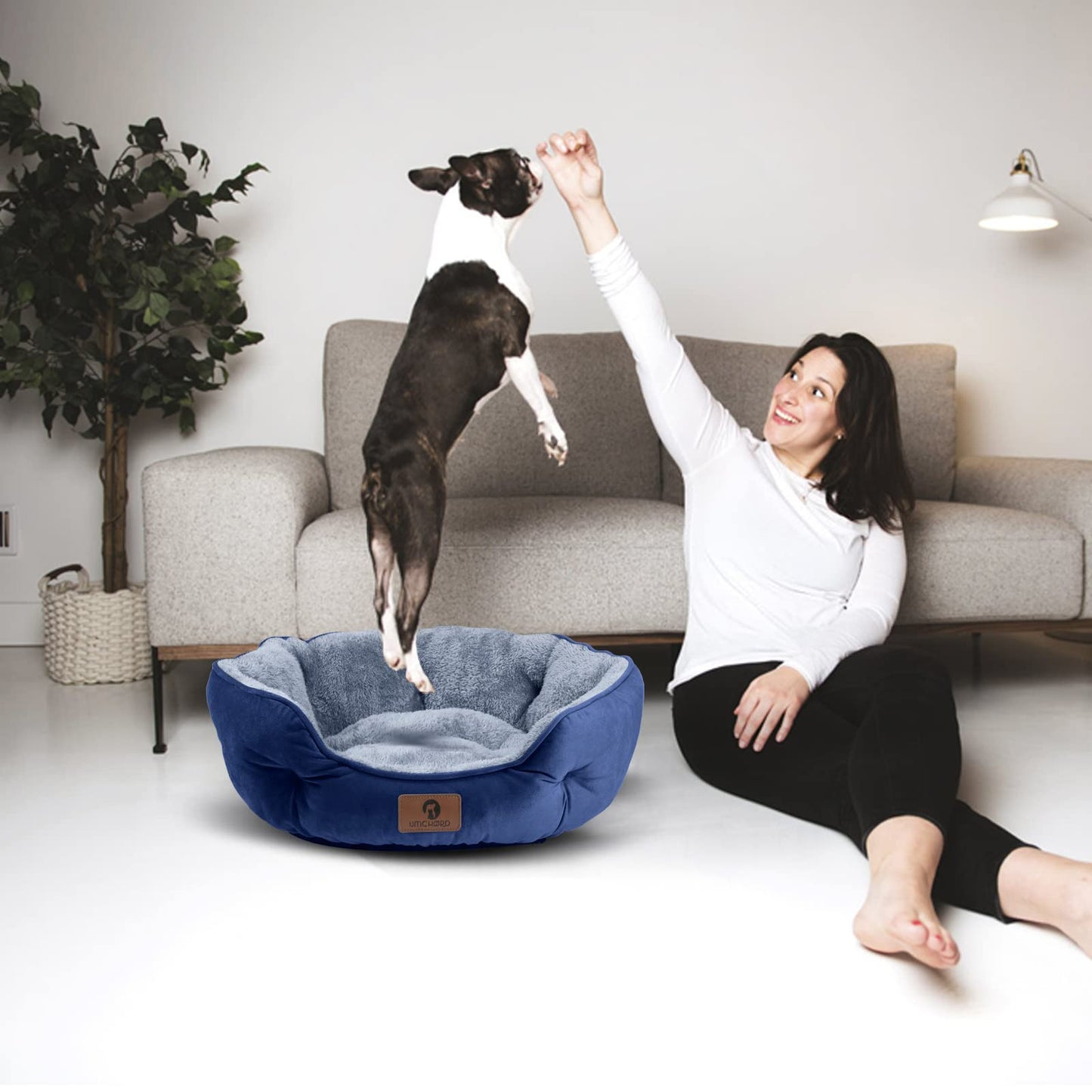 Asvin Small Dog Bed for Small Dogs, Cat Beds for Indoor Cats, Pet Bed for Puppy and Kitty, Extra Soft & Machine Washable with Anti-Slip & Water-Resistant Oxford Bottom, Grey, 20 inches