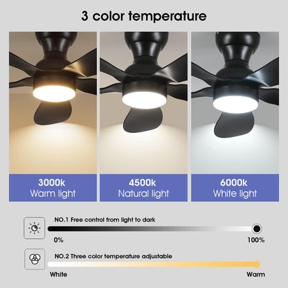 Ceiling Fans with Lights and Remote/APP Control, 30 inch Low Profile Ceiling Fans with 5 Reversible Blades 3 Colors Dimmable 6 Speeds Ceiling Fan for Bedroom Kids Room Dining Room, Black