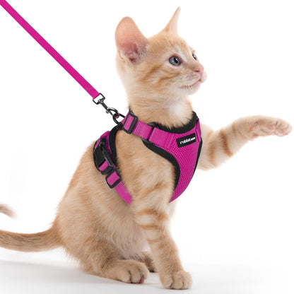 rabbitgoo Cat Harness and Leash for Walking, Escape Proof Soft Adjustable Vest Harnesses for Cats, Easy Control Breathable Reflective Strips Jacket, Black, XS