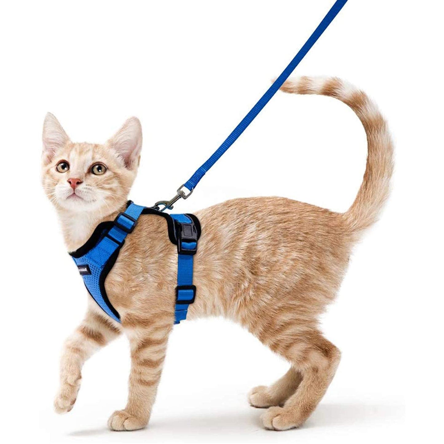 rabbitgoo Cat Harness and Leash for Walking, Escape Proof Soft Adjustable Vest Harnesses for Cats, Easy Control Breathable Reflective Strips Jacket, Black, XS