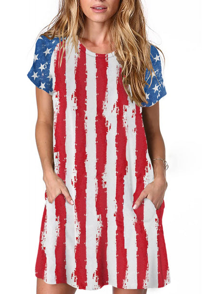 Alaster Women’s Casual Summer T Shirt Dress Loose Short Sleeve Tunic Dress with Pocket for Women