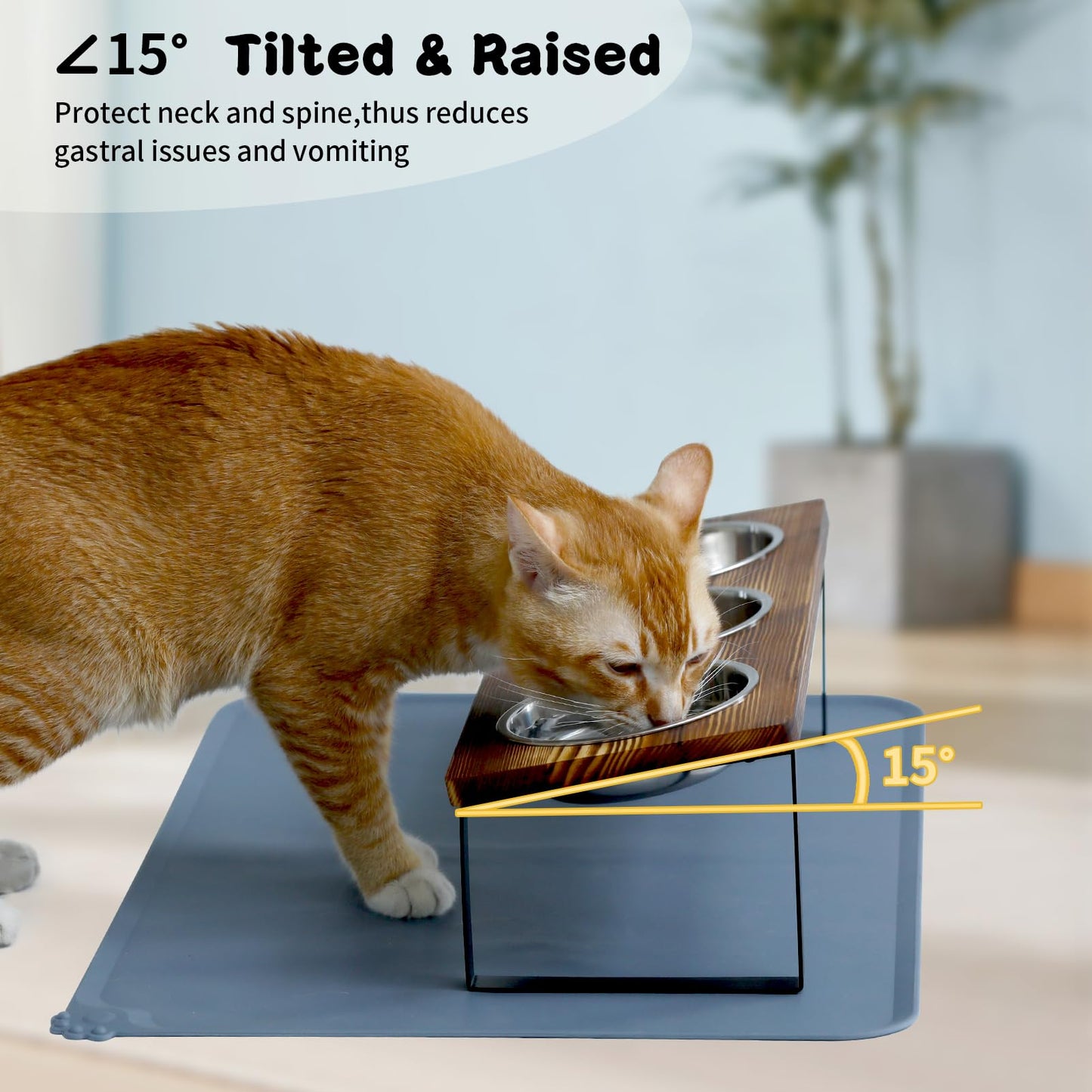 Upgraded Elevated Cat Bowls with Food Mat,15°Tilted Stand Anti Vomiting Raised Cat Dishes for Food and Water,2 Stainless Steel Bowls for Cats and Puppy