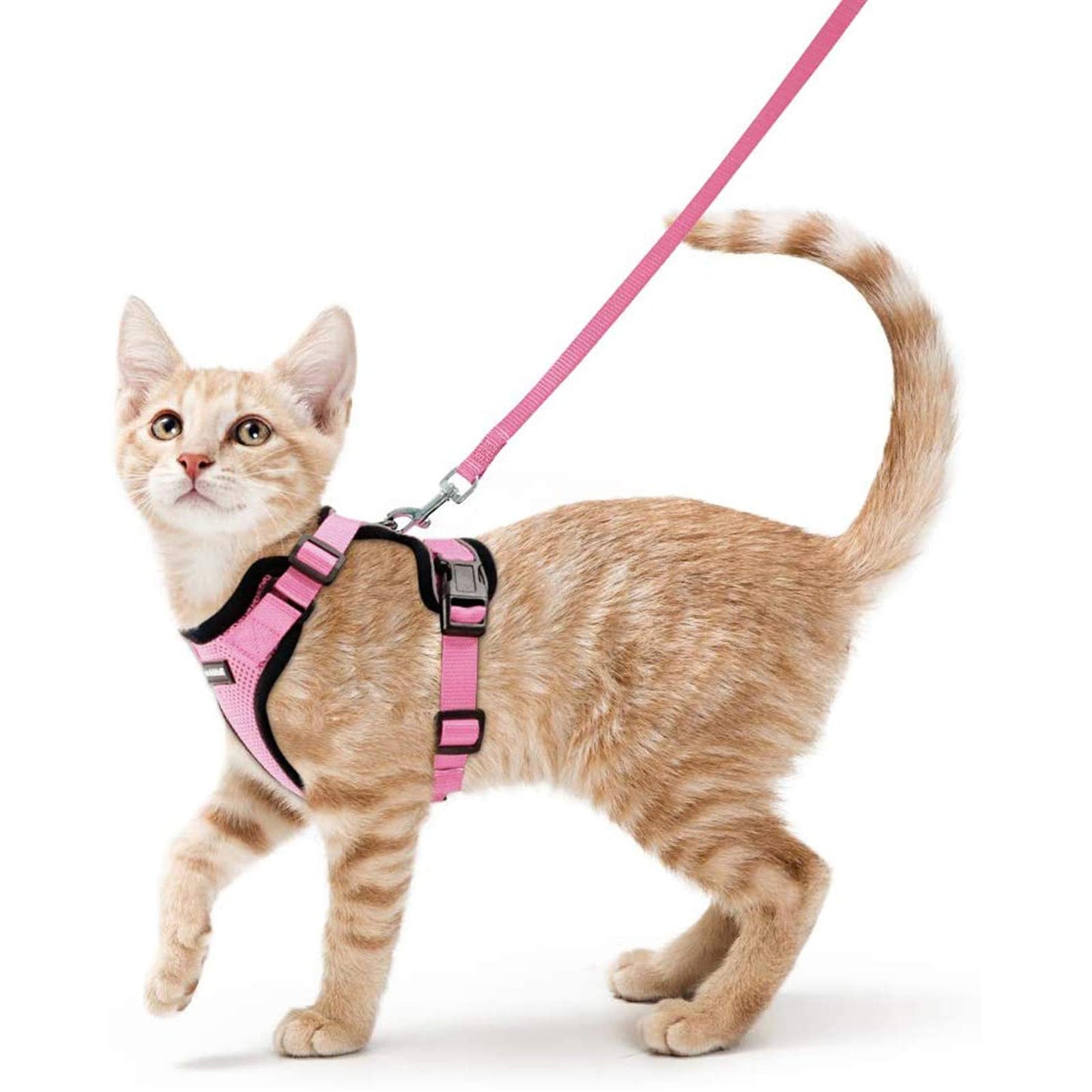 rabbitgoo Cat Harness and Leash for Walking, Escape Proof Soft Adjustable Vest Harnesses for Cats, Easy Control Breathable Reflective Strips Jacket, Black, XS
