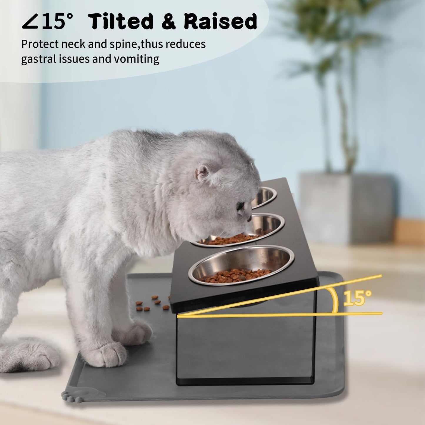 Upgraded Elevated Cat Bowls with Food Mat,15°Tilted Stand Anti Vomiting Raised Cat Dishes for Food and Water,2 Stainless Steel Bowls for Cats and Puppy