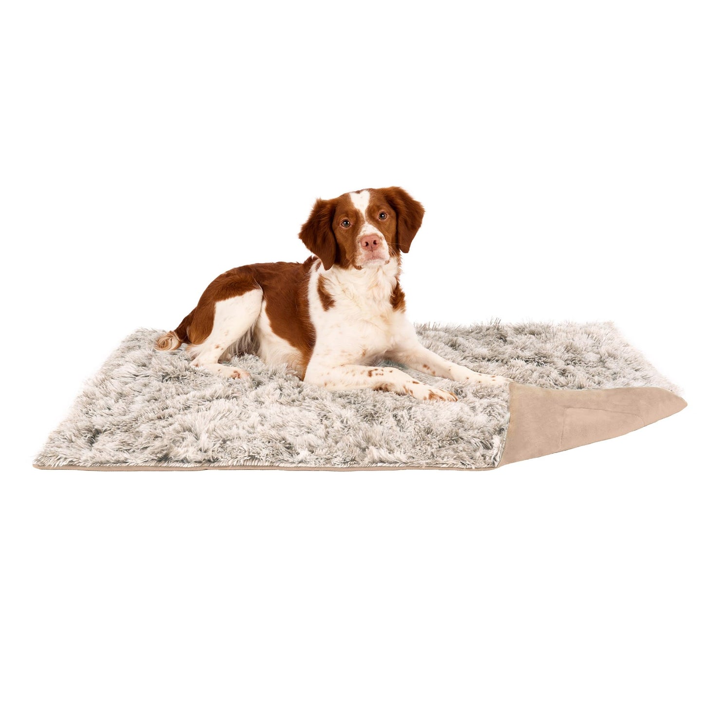 Furhaven - Manta impermeable y lavable para perros y gatos de interior, hecha en piel sintética de pelo largo sintético y terciopelo en color madera, XL, gris niebla