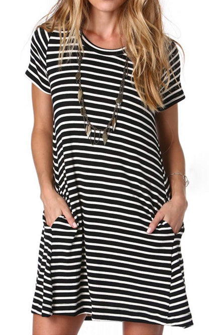 Alaster Women’s Casual Summer T Shirt Dress Loose Short Sleeve Tunic Dress with Pocket for Women