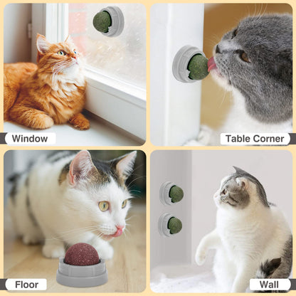 3 Pack Catnip Balls, Catnip Ball for Cats Wall, Edible Kitty Toys for Cats Lick, Safe Healthy Kitten Chew Toys, Teeth Cleaning Dental Cat Toys, Cat Wall Treats (Green)
