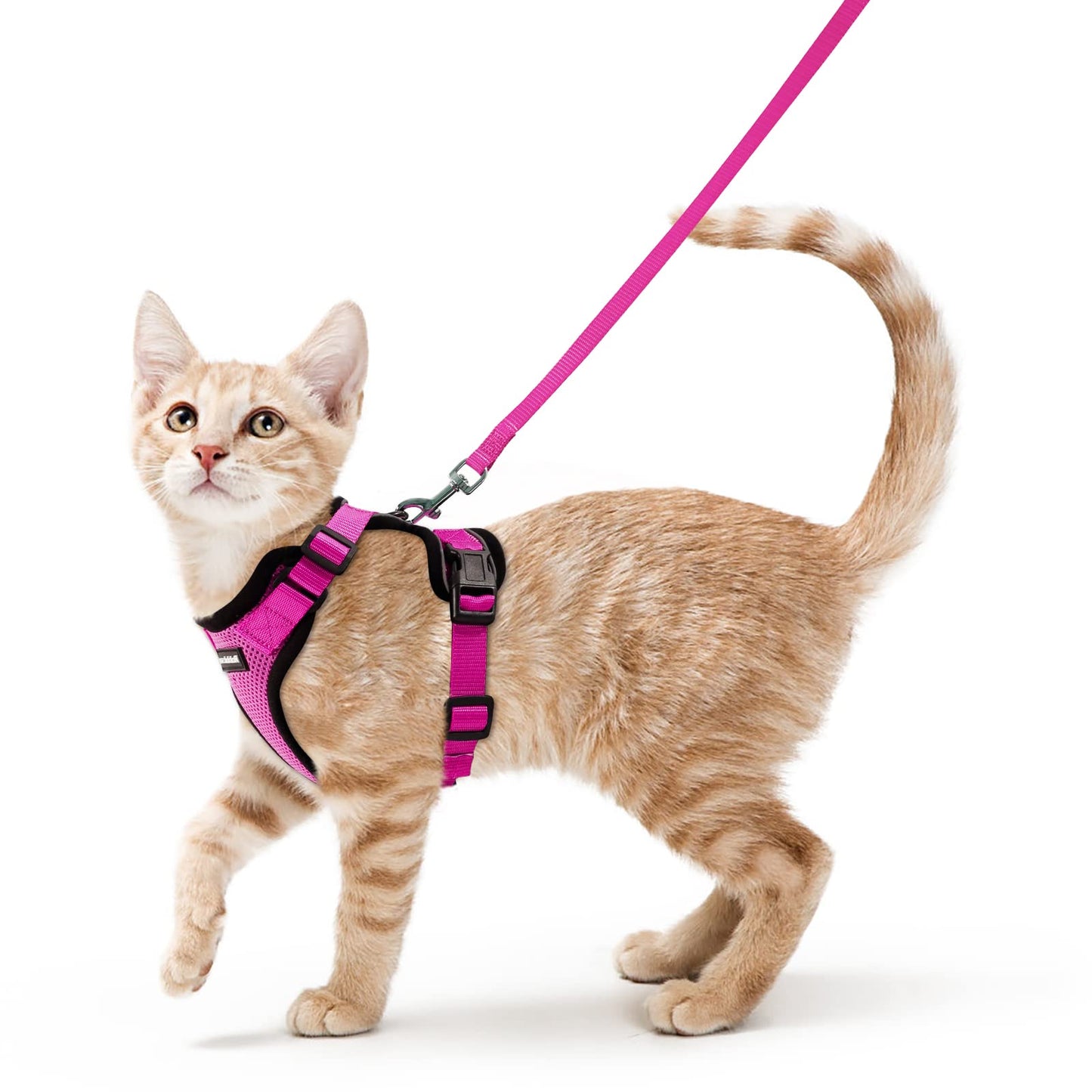 rabbitgoo Cat Harness and Leash for Walking, Escape Proof Soft Adjustable Vest Harnesses for Cats, Easy Control Breathable Reflective Strips Jacket, Black, XS