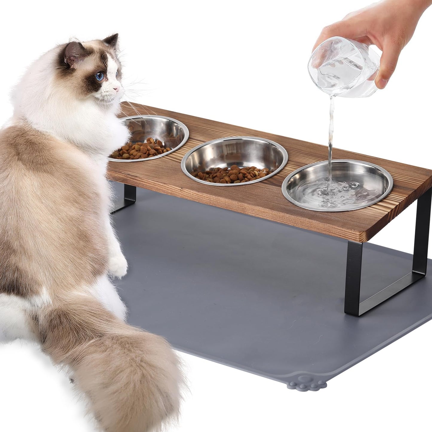 Upgraded Elevated Cat Bowls with Food Mat,15°Tilted Stand Anti Vomiting Raised Cat Dishes for Food and Water,2 Stainless Steel Bowls for Cats and Puppy