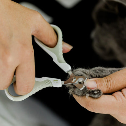 Mr. Pen- Cat Nail Clipper, Kitten Nail Trimmers, Pet Nail Cutter