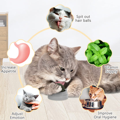 3 Pack Catnip Balls, Catnip Ball for Cats Wall, Edible Kitty Toys for Cats Lick, Safe Healthy Kitten Chew Toys, Teeth Cleaning Dental Cat Toys, Cat Wall Treats (Green)