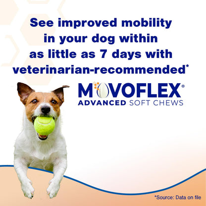 Advanced Soft Chews Hip Joint Support Supplement for Large Dogs- 60 Count by Virbac