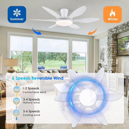Ceiling Fans with Lights, 51 inch Modern Black Low Profile Ceiling Fan with Light and Remote App Control, Flush Mount, Quiet DC Reversible, Dim Led Ceiling Fan 6 Blade Softer Wind Indoor/Outdoor Patio