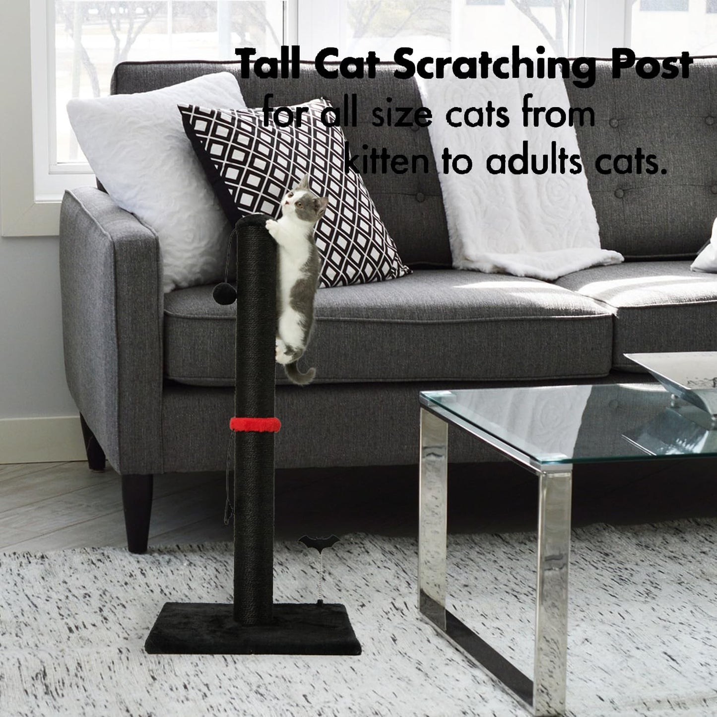 Cat Scratching Post Premium Basics Kitten Scratcher Sisal Scratch Posts with Hanging Ball 22in for Kittens or Smaller Cats (22 inches for Kitten, Beige)