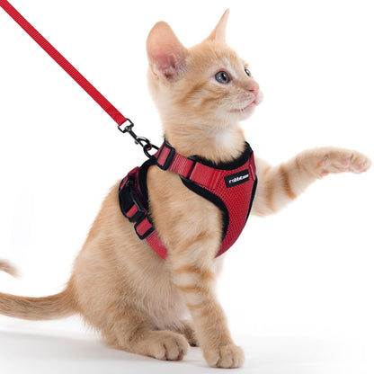 rabbitgoo Cat Harness and Leash for Walking, Escape Proof Soft Adjustable Vest Harnesses for Cats, Easy Control Breathable Reflective Strips Jacket, Black, XS