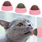 3 Pack Catnip Balls, Catnip Ball for Cats Wall, Edible Kitty Toys for Cats Lick, Safe Healthy Kitten Chew Toys, Teeth Cleaning Dental Cat Toys, Cat Wall Treats (Green)