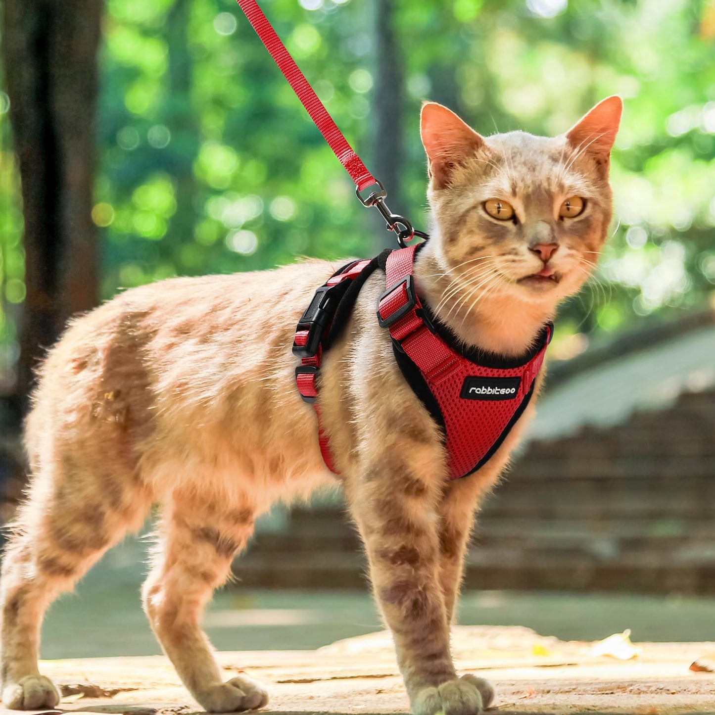 rabbitgoo Cat Harness and Leash for Walking, Escape Proof Soft Adjustable Vest Harnesses for Cats, Easy Control Breathable Reflective Strips Jacket, Black, XS