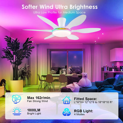 Ceiling Fans with Lights, 51 inch Modern Black Low Profile Ceiling Fan with Light and Remote App Control, Flush Mount, Quiet DC Reversible, Dim Led Ceiling Fan 6 Blade Softer Wind Indoor/Outdoor Patio