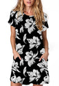 Alaster Women’s Casual Summer T Shirt Dress Loose Short Sleeve Tunic Dress with Pocket for Women