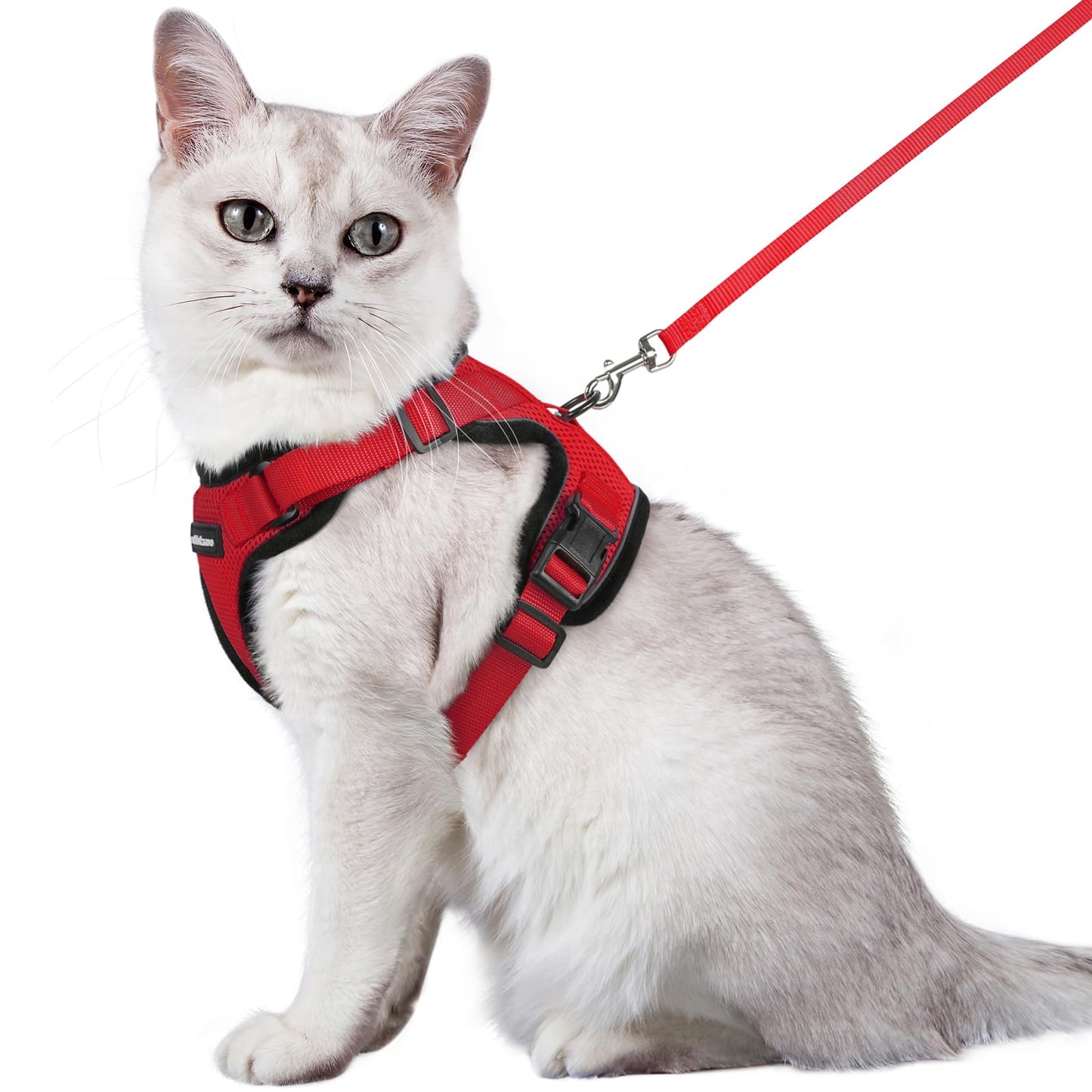 rabbitgoo Cat Harness and Leash for Walking, Escape Proof Soft Adjustable Vest Harnesses for Cats, Easy Control Breathable Reflective Strips Jacket, Black, XS