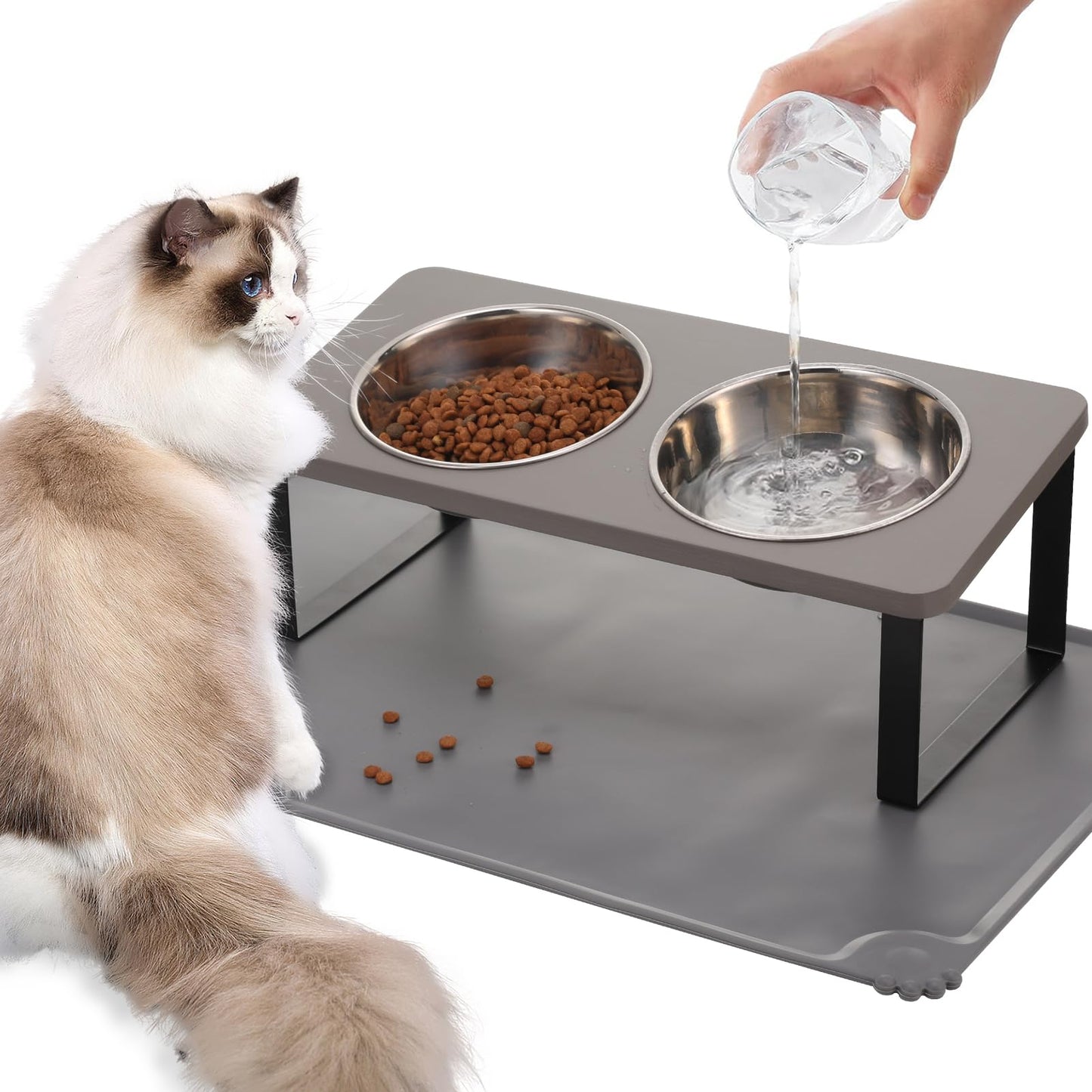 Upgraded Elevated Cat Bowls with Food Mat,15°Tilted Stand Anti Vomiting Raised Cat Dishes for Food and Water,2 Stainless Steel Bowls for Cats and Puppy