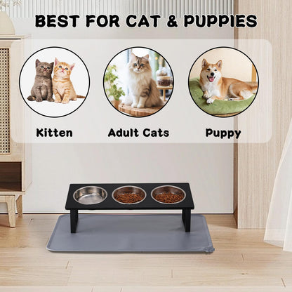 Upgraded Elevated Cat Bowls with Food Mat,15°Tilted Stand Anti Vomiting Raised Cat Dishes for Food and Water,2 Stainless Steel Bowls for Cats and Puppy