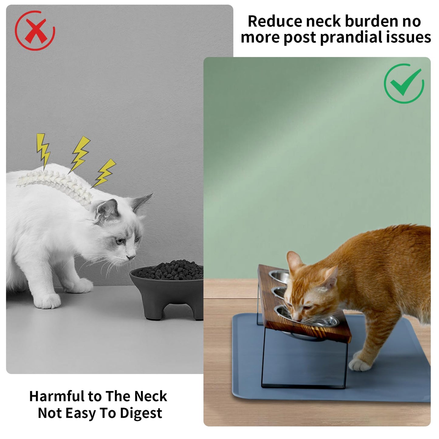 Upgraded Elevated Cat Bowls with Food Mat,15°Tilted Stand Anti Vomiting Raised Cat Dishes for Food and Water,2 Stainless Steel Bowls for Cats and Puppy