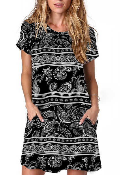 Alaster Women’s Casual Summer T Shirt Dress Loose Short Sleeve Tunic Dress with Pocket for Women