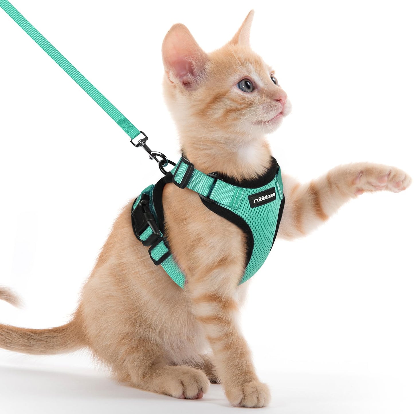 rabbitgoo Cat Harness and Leash for Walking, Escape Proof Soft Adjustable Vest Harnesses for Cats, Easy Control Breathable Reflective Strips Jacket, Black, XS