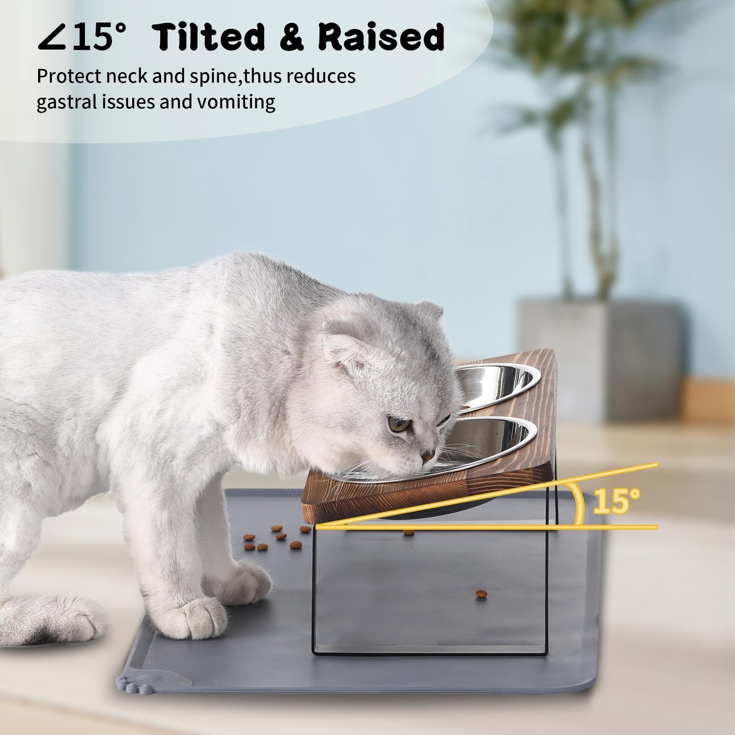 Upgraded Elevated Cat Bowls with Food Mat,15°Tilted Stand Anti Vomiting Raised Cat Dishes for Food and Water,2 Stainless Steel Bowls for Cats and Puppy