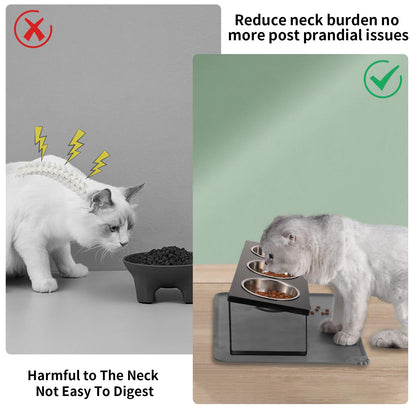 Upgraded Elevated Cat Bowls with Food Mat,15°Tilted Stand Anti Vomiting Raised Cat Dishes for Food and Water,2 Stainless Steel Bowls for Cats and Puppy