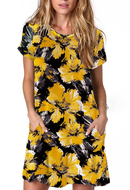Alaster Women’s Casual Summer T Shirt Dress Loose Short Sleeve Tunic Dress with Pocket for Women