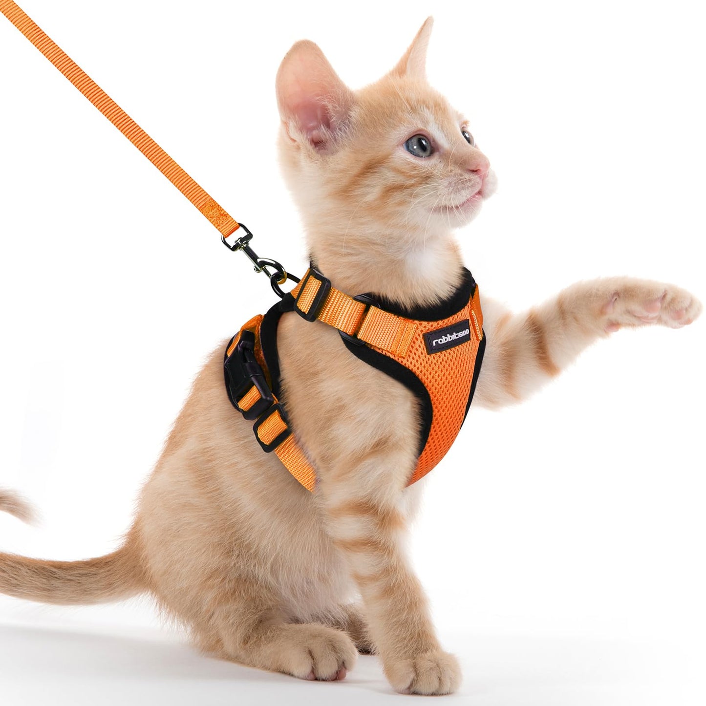 rabbitgoo Cat Harness and Leash for Walking, Escape Proof Soft Adjustable Vest Harnesses for Cats, Easy Control Breathable Reflective Strips Jacket, Black, XS