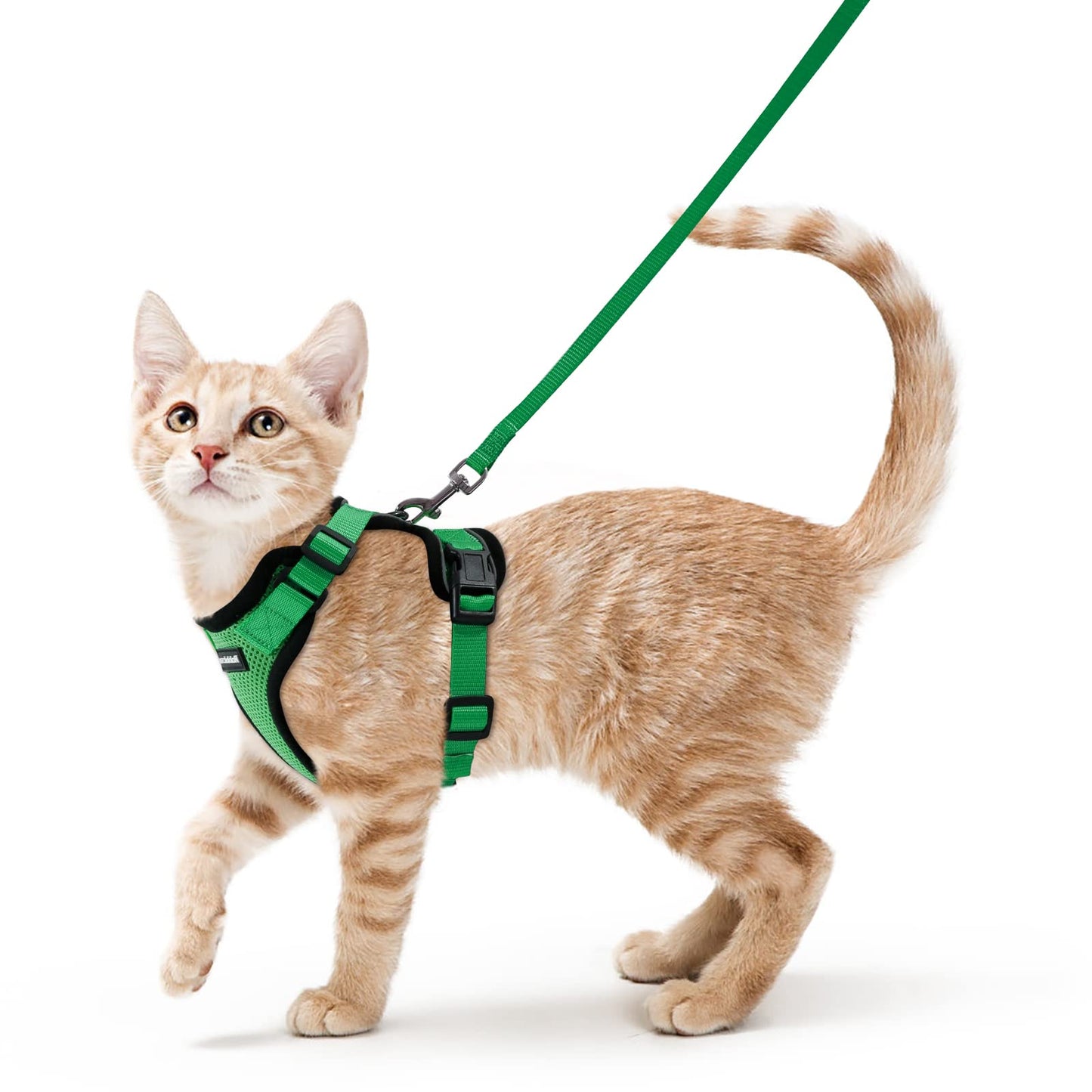 rabbitgoo Cat Harness and Leash for Walking, Escape Proof Soft Adjustable Vest Harnesses for Cats, Easy Control Breathable Reflective Strips Jacket, Black, XS