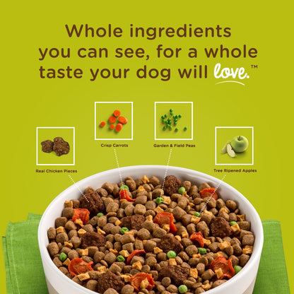 Rachael Ray Nutrish Dish Premium Dry Dog Food, Chicken & Brown Rice Recipe with Veggies & Fruit, 23 Pounds