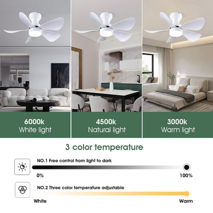 Ceiling Fans with Lights and Remote/APP Control, 30 inch Low Profile Ceiling Fans with 5 Reversible Blades 3 Colors Dimmable 6 Speeds Ceiling Fan for Bedroom Kids Room Dining Room, Black