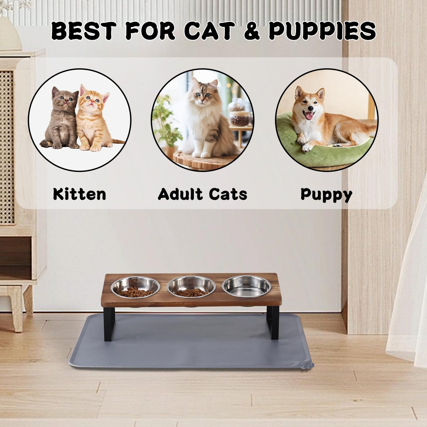 Upgraded Elevated Cat Bowls with Food Mat,15°Tilted Stand Anti Vomiting Raised Cat Dishes for Food and Water,2 Stainless Steel Bowls for Cats and Puppy