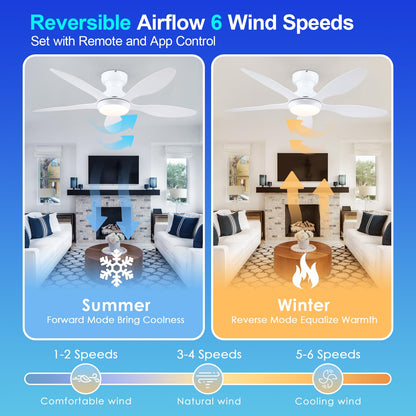 Ceiling Fans with Lights, 51 inch Modern Black Low Profile Ceiling Fan with Light and Remote App Control, Flush Mount, Quiet DC Reversible, Dim Led Ceiling Fan 6 Blade Softer Wind Indoor/Outdoor Patio