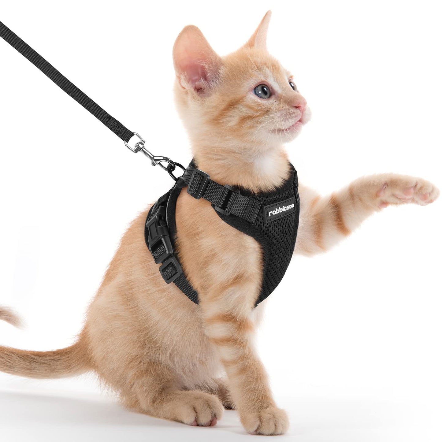 rabbitgoo Cat Harness and Leash for Walking, Escape Proof Soft Adjustable Vest Harnesses for Cats, Easy Control Breathable Reflective Strips Jacket, Black, XS