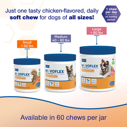 Advanced Soft Chews Hip Joint Support Supplement for Large Dogs- 60 Count by Virbac