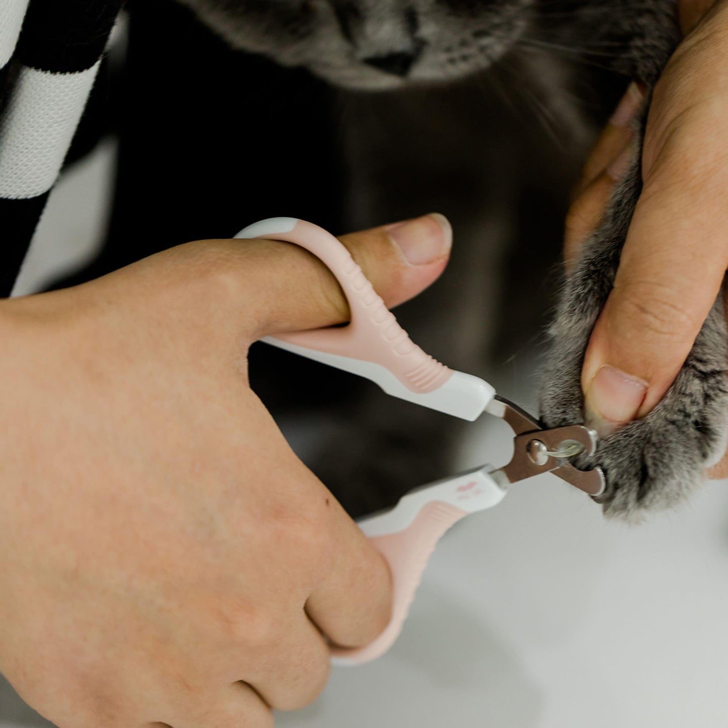 Mr. Pen- Cat Nail Clipper, Kitten Nail Trimmers, Pet Nail Cutter