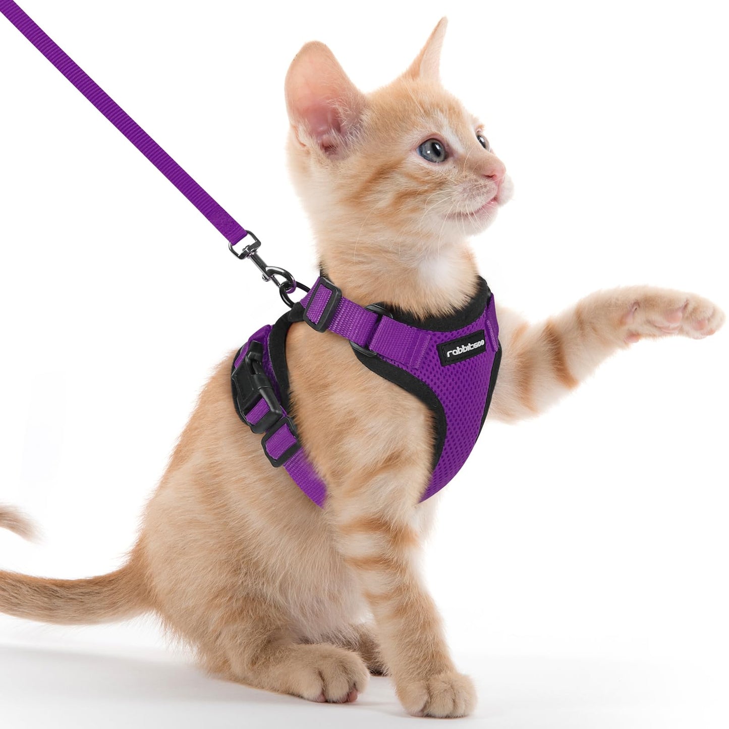 rabbitgoo Cat Harness and Leash for Walking, Escape Proof Soft Adjustable Vest Harnesses for Cats, Easy Control Breathable Reflective Strips Jacket, Black, XS