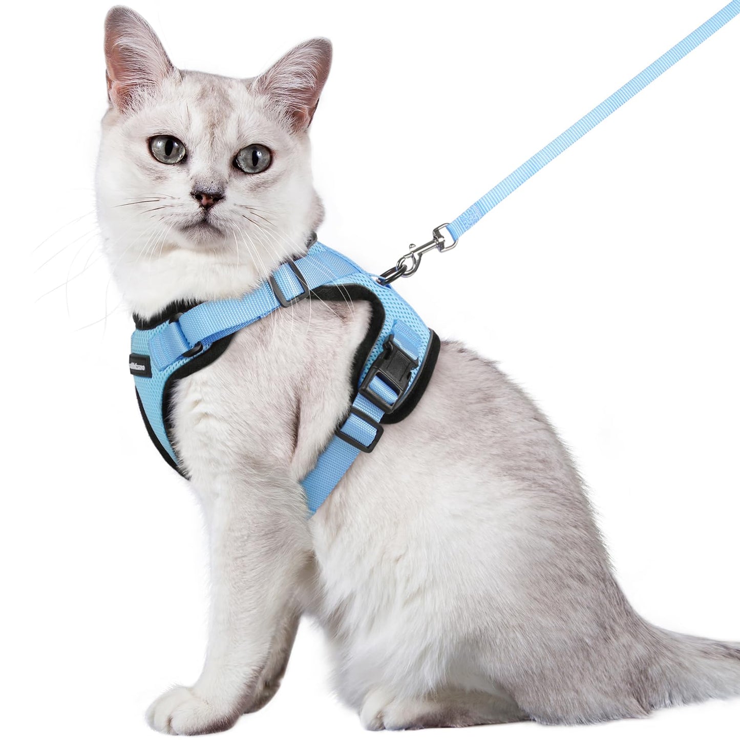rabbitgoo Cat Harness and Leash for Walking, Escape Proof Soft Adjustable Vest Harnesses for Cats, Easy Control Breathable Reflective Strips Jacket, Black, XS