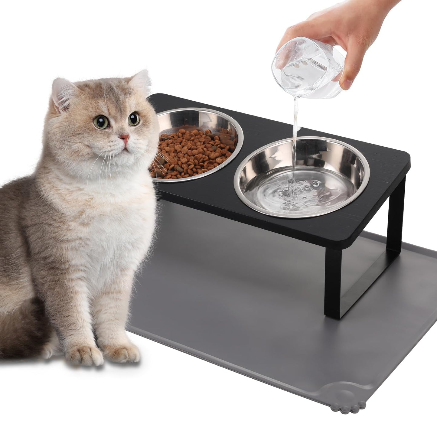 Upgraded Elevated Cat Bowls with Food Mat,15°Tilted Stand Anti Vomiting Raised Cat Dishes for Food and Water,2 Stainless Steel Bowls for Cats and Puppy