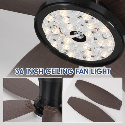 Ceiling Fans with Lights-36 Low Profile Ceiling Fan with Light and Remote/APP Control,Flush Mount,DC Reversible,LED Dimmable Blakc Ceiling Fans for Bedroom,Indoor/Outdoor Patio Use